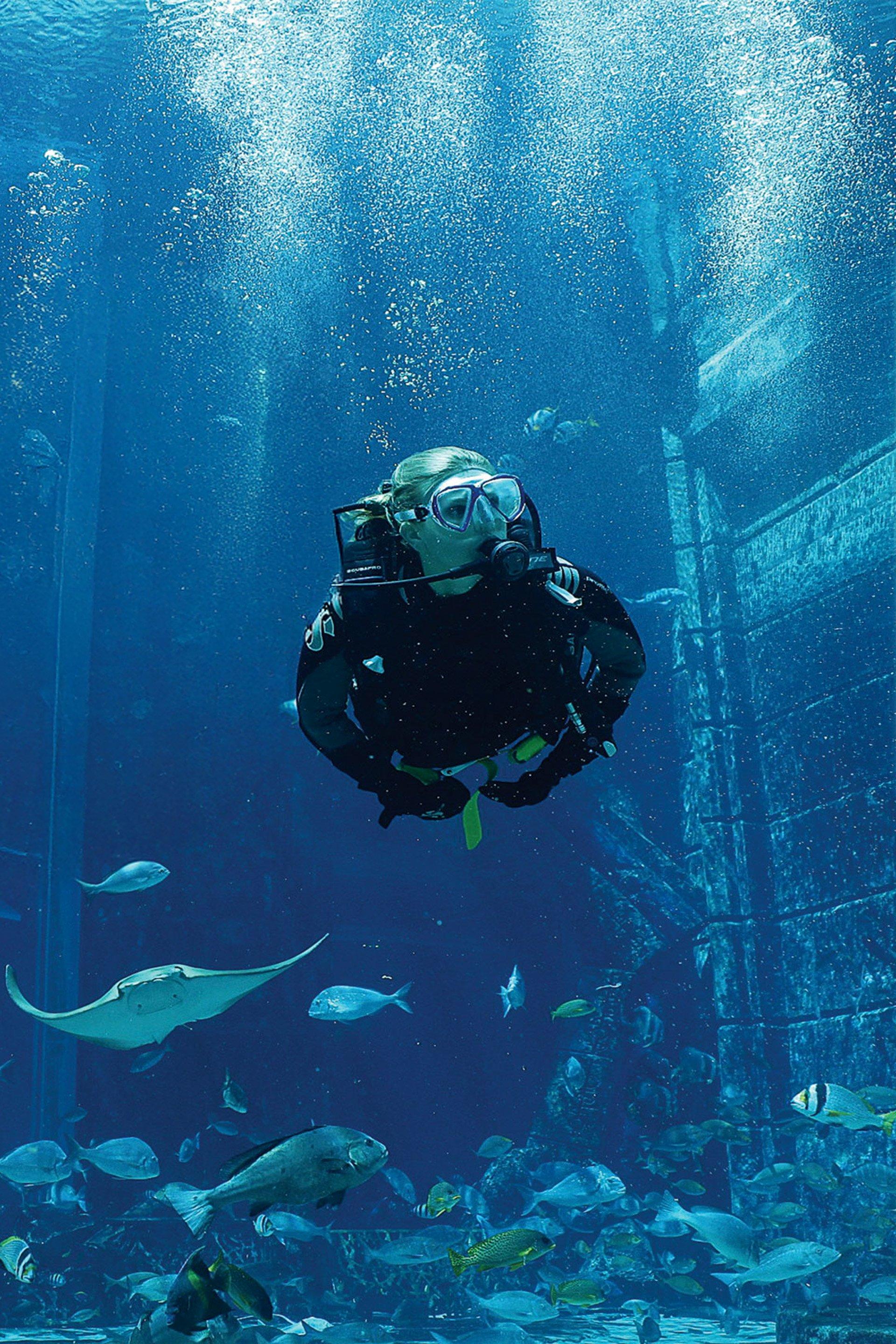 Dive Explorer